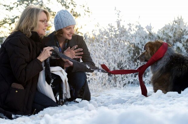 Darling Companion (2012) - photo 4