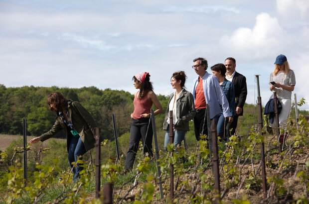 Champagne! (2022) - photo 10