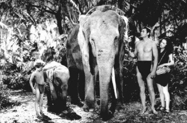 Tarzan Finds a Son! (1939) - photo 2