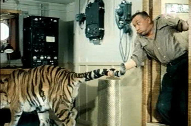 Striped Trip (1961) - photo 6