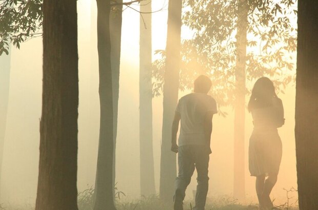 Norwegian Wood (2010) - photo 2