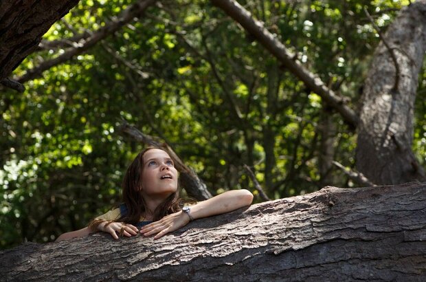 Pete's Dragon (2016) - photo 2