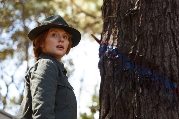 Pete's Dragon (2016) - photo 14