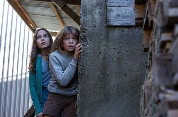 Pete's Dragon (2016) - photo 12