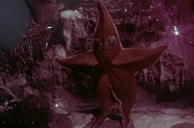 Solnechnoe zyornyshko (1969) - photo 5