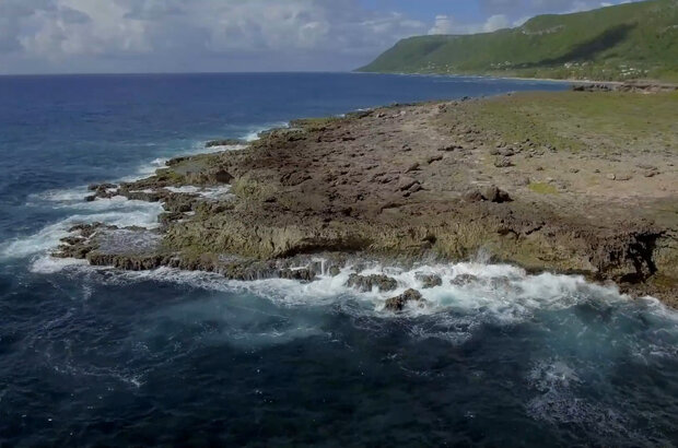 Wild caribbean (2018) - photo 5