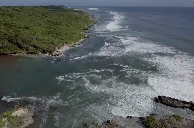 Wild caribbean (2018) - photo 6