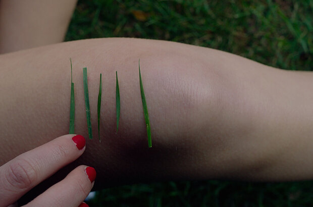 It Follows (2014) - photo 8