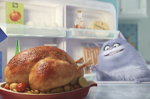 The Secret Life of Pets (2016) - photo 8