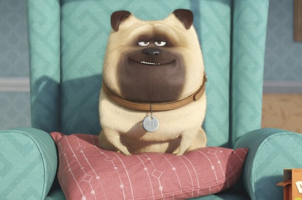 The Secret Life of Pets (2016) - photo 6