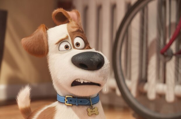 The Secret Life of Pets (2016) - photo 2