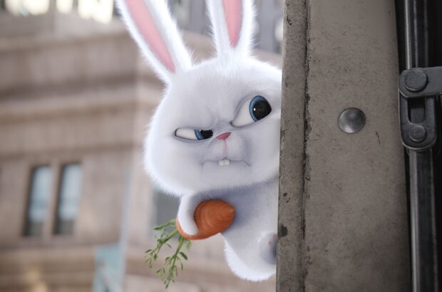 The Secret Life of Pets (2016) - photo 5