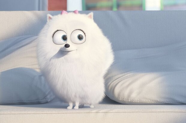 The Secret Life of Pets (2016) - photo 1