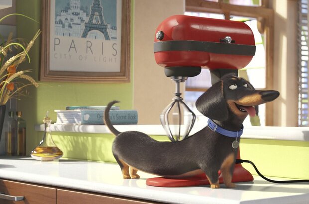 The Secret Life of Pets (2016) - photo 7