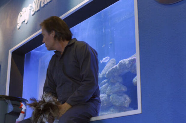 Bernie the Dolphin 2 (2019) - photo 6