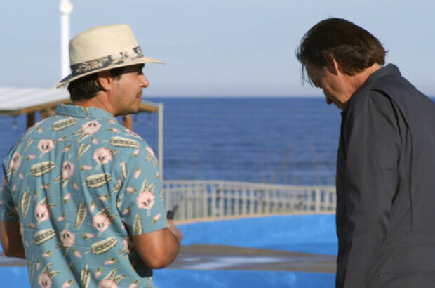 Bernie the Dolphin 2 (2019) - photo 3