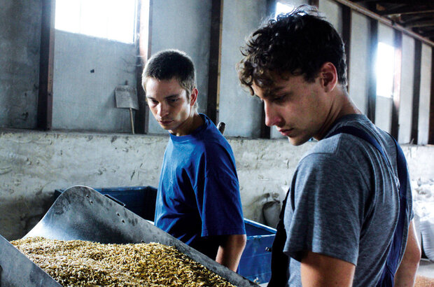 Harvest (2011) - photo 3