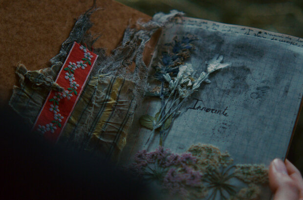 Foudre (2022) - photo 7