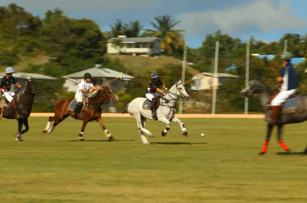 Flavors of the eastern caribbean (2014) - photo 2