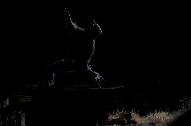 Wolf Moon (2009) - photo 2