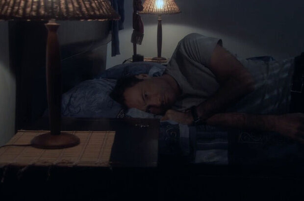 Год золотой рыбки (2007) - фото 8