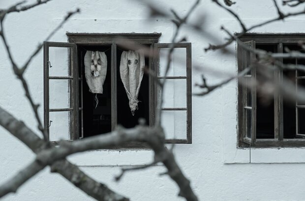 Post Mortem (2020) - photo 2