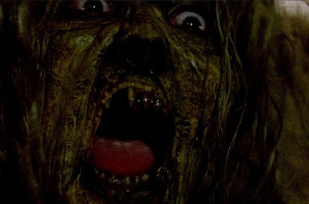 Scream of the Banshee (2011) - photo 1