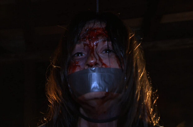 The Den (2013) - photo 4
