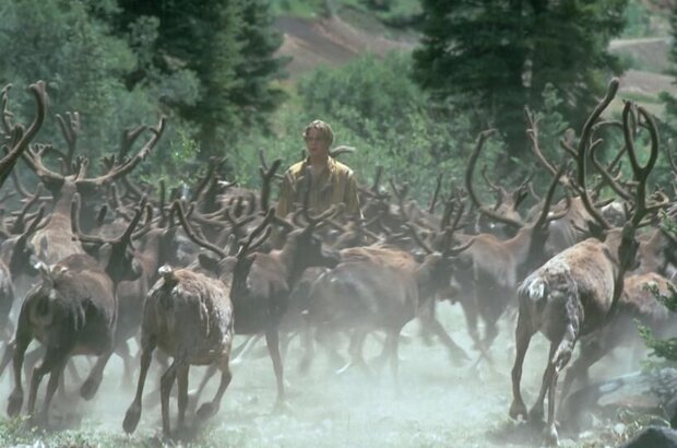 Белый клык 2: Легенда о белом волке (1994) - фото 8