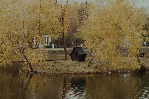 Культурный код (2020) - фото 8