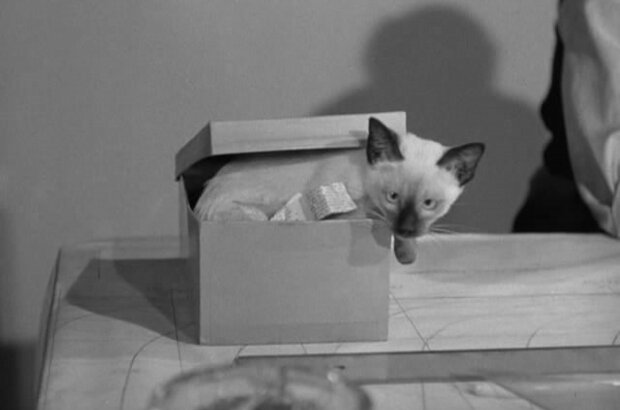 Cat People (1942) - photo 2
