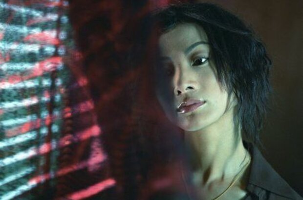 Dumplings (2004) - photo 2