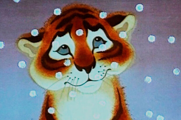Tigryonok na podsolnukhe (1981) - photo 4