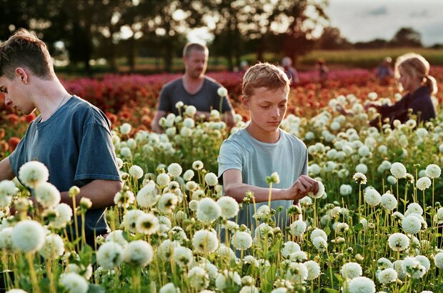 Close (2022) - photo 1
