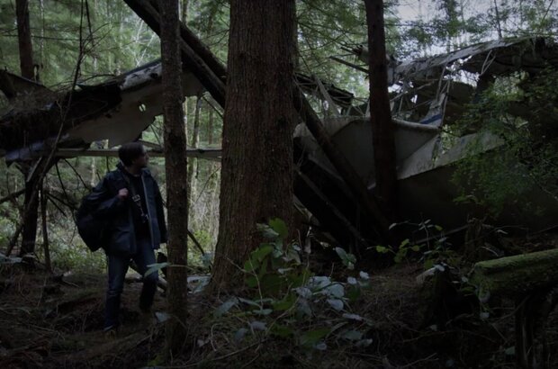 Woodland (2018) - photo 8