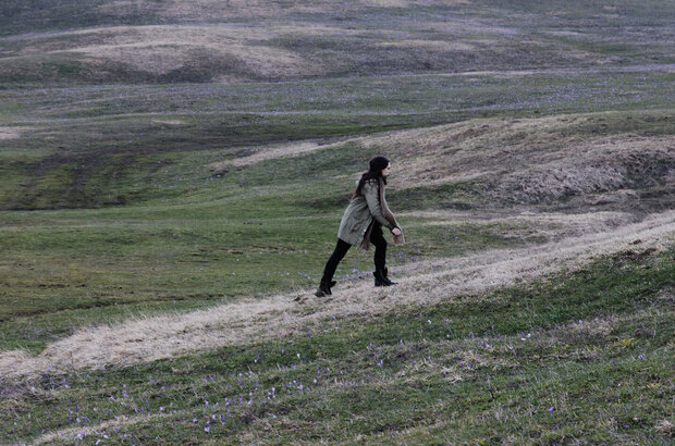 Cloro (2015) - photo 2
