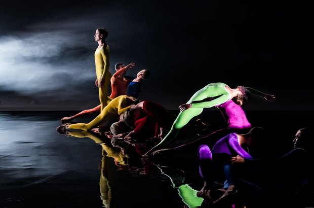 Cunningham (2019) - photo 3