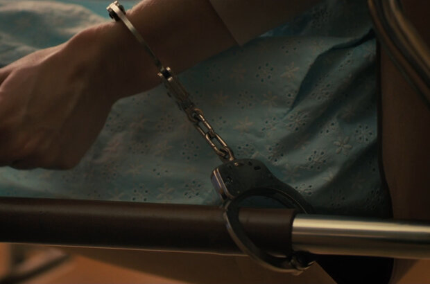 Companion (2025) - photo 3
