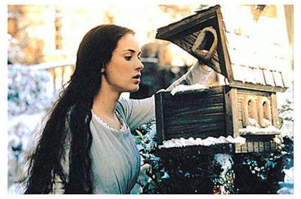 Маленькие женщины (1994) - фото 3