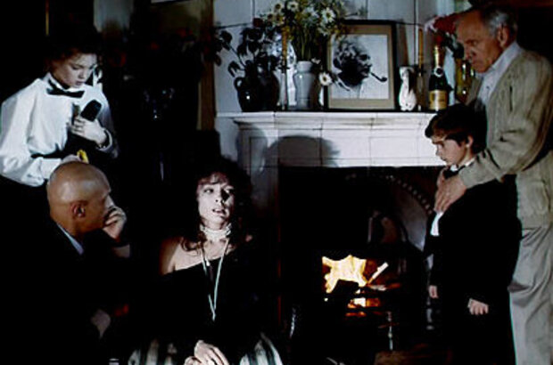 House Under the Starry Skies (1991) - photo 5