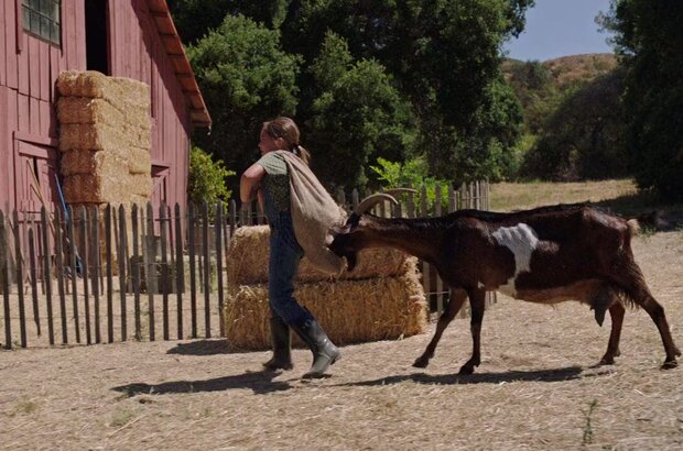 Wish Upon A Unicorn (2020) - photo 6