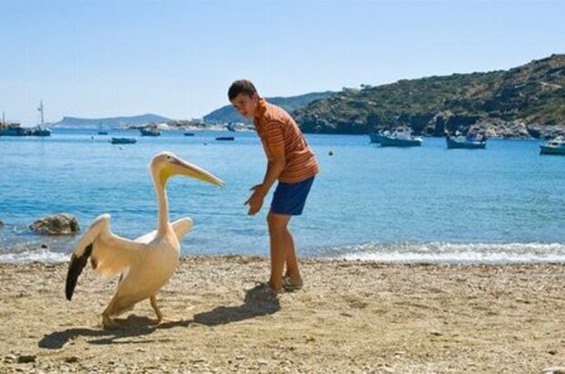 Nicostratos the Pelican (2011) - photo 7