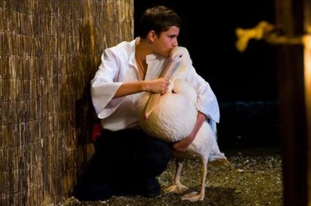 Nicostratos the Pelican (2011) - photo 2