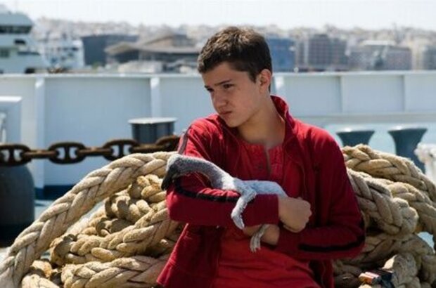 Nicostratos the Pelican (2011) - photo 4