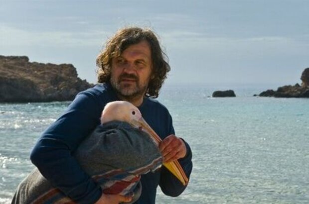 Nicostratos the Pelican (2011) - photo 1