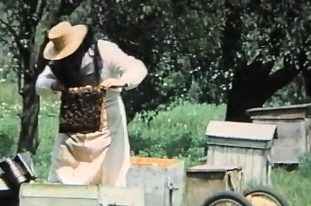 Grooms (1985) - photo 12