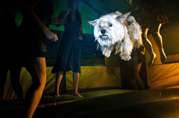 Project X (2012) - photo 20