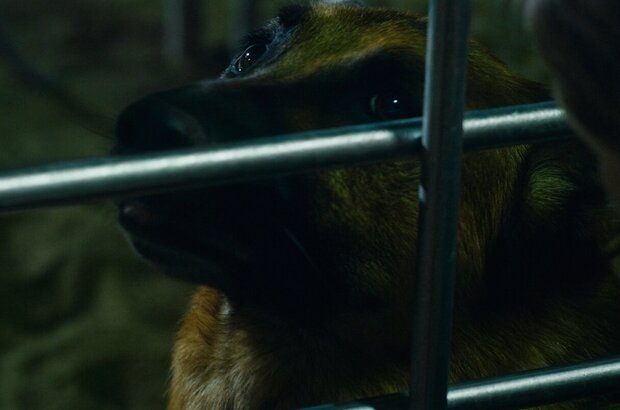 Belong to Us (2018) - photo 14