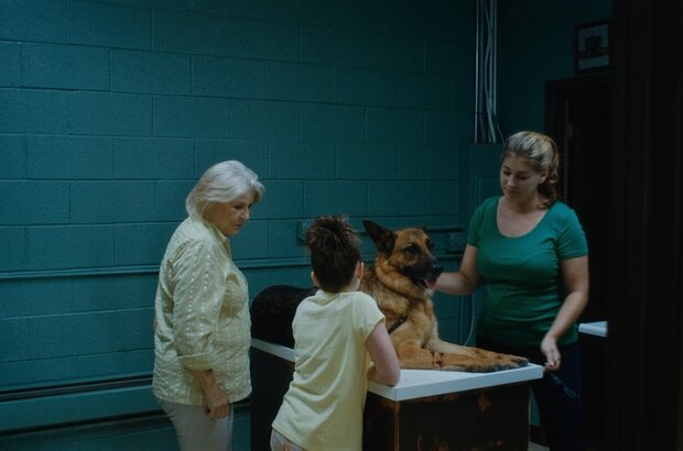 Belong to Us (2018) - photo 20
