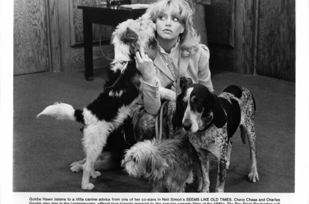 Seems Like Old Times (1980) - photo 4
